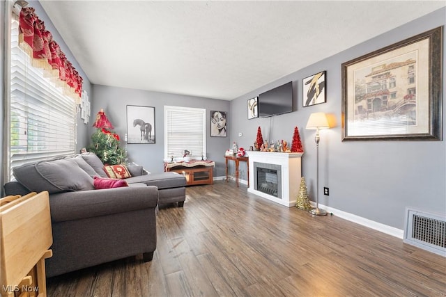 living room featuring dark hardwood / wood-style flooring