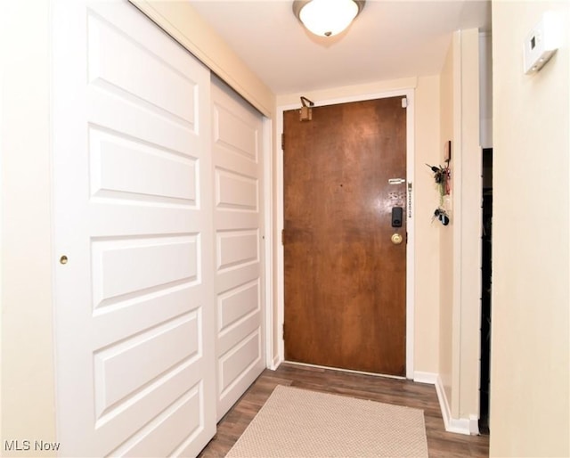 doorway to outside featuring dark wood-type flooring