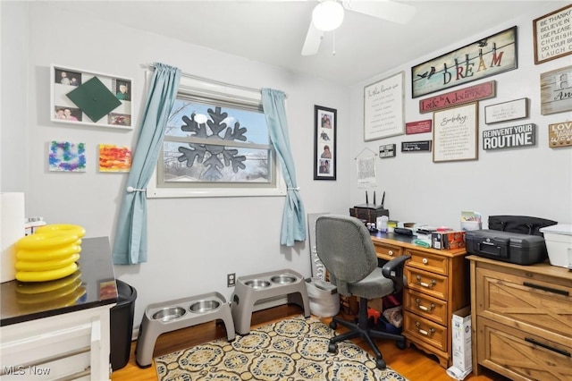 home office with ceiling fan and light wood-type flooring