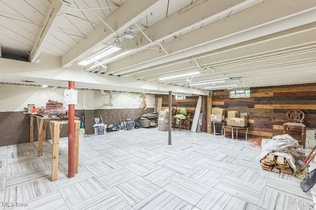 basement with wooden walls