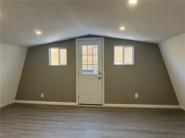 interior space featuring wood-type flooring and lofted ceiling