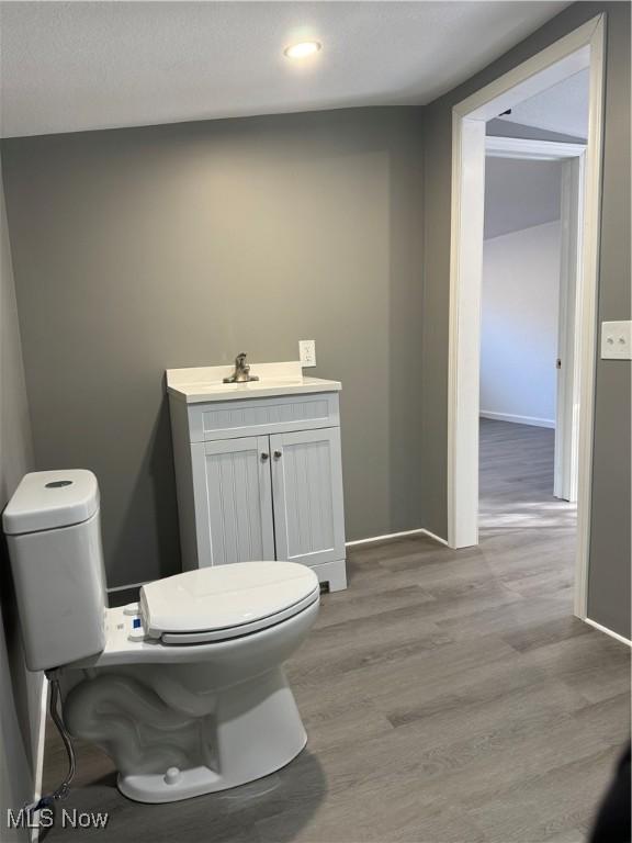 bathroom with vanity, wood-type flooring, and toilet