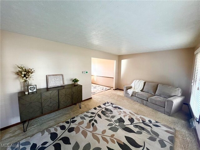 living room featuring a textured ceiling and light carpet