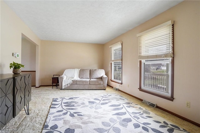 living room featuring light carpet and a textured ceiling