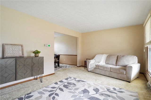 living room featuring light colored carpet