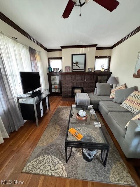 living room with a fireplace, ornamental molding, ceiling fan, and dark wood-type flooring