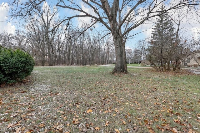 1956 Bluff Ave, Columbus, OH 43212 - view of yard