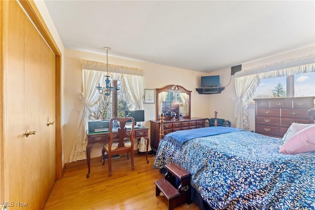 bedroom featuring multiple windows, a closet, and wood-type flooring