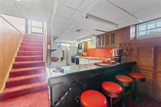 bar featuring wooden walls, white fridge, and a wealth of natural light