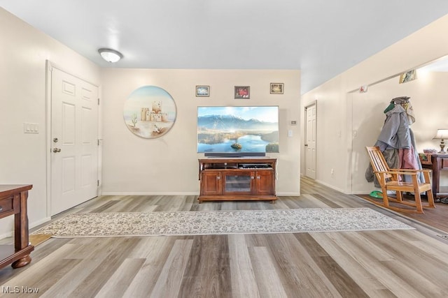 living room featuring light hardwood / wood-style flooring