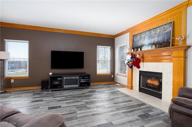 living room with a fireplace, hardwood / wood-style floors, and crown molding