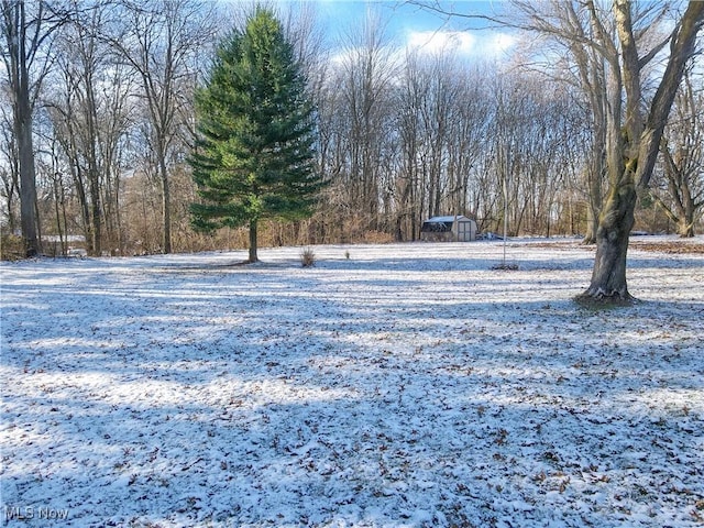 view of yard covered in snow