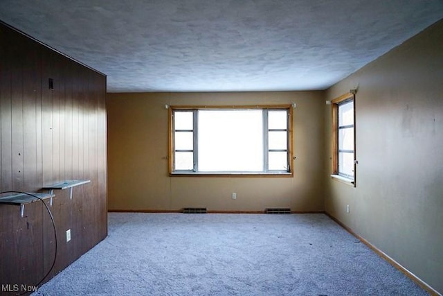 empty room with carpet flooring and wood walls