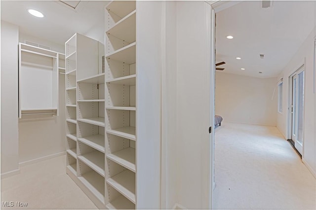 walk in closet featuring ceiling fan and light colored carpet