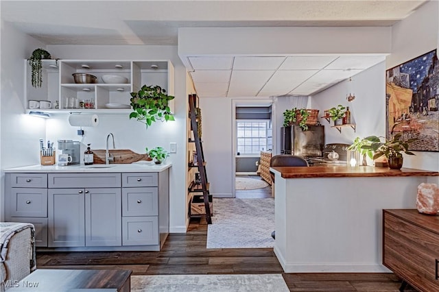 kitchen featuring dark hardwood / wood-style floors, gray cabinetry, and sink