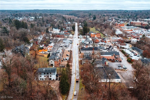 bird's eye view