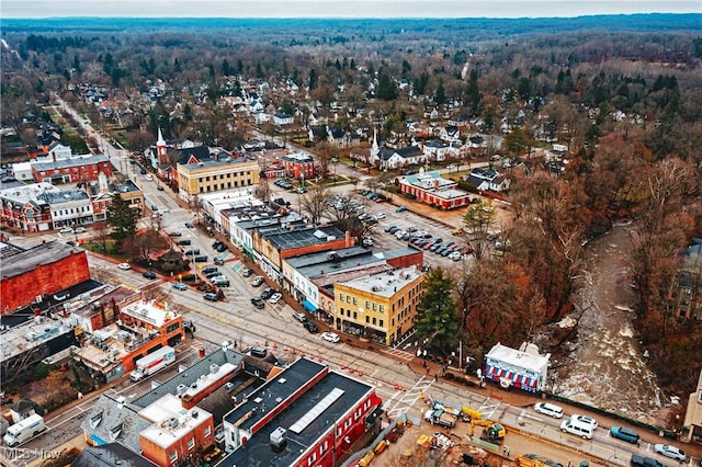 bird's eye view