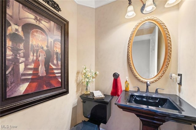 bathroom with crown molding and sink