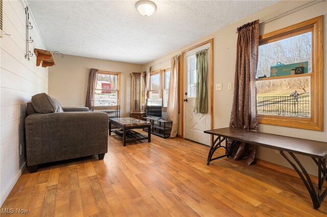 sitting room with light hardwood / wood-style floors and a textured ceiling