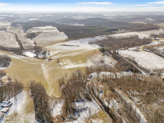 birds eye view of property with a mountain view