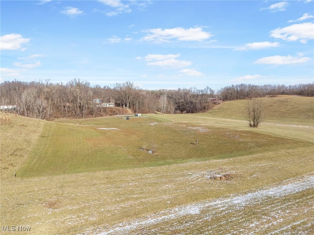 view of yard with a rural view