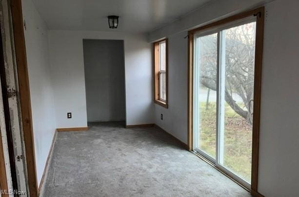 carpeted spare room featuring a wealth of natural light