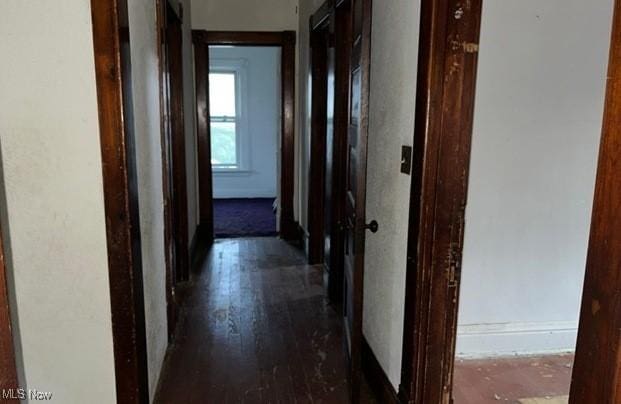 hall featuring dark hardwood / wood-style floors