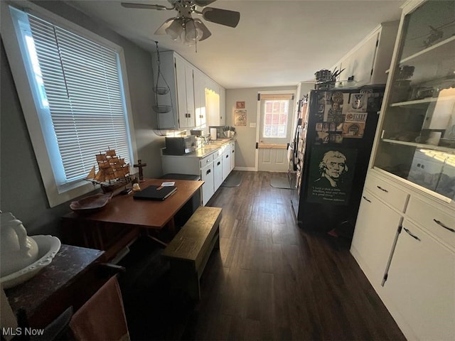 kitchen featuring white cabinets, ceiling fan, and dark hardwood / wood-style flooring