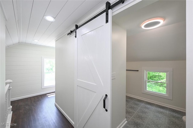 hall with a barn door, dark wood-type flooring, and vaulted ceiling