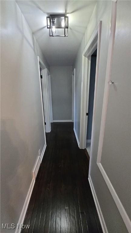 corridor featuring dark wood-type flooring