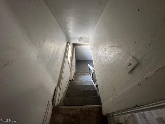 13306 Harvard Ave, Cleveland, OH 44105 - photo 13