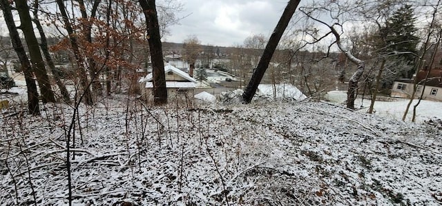 view of snow covered land