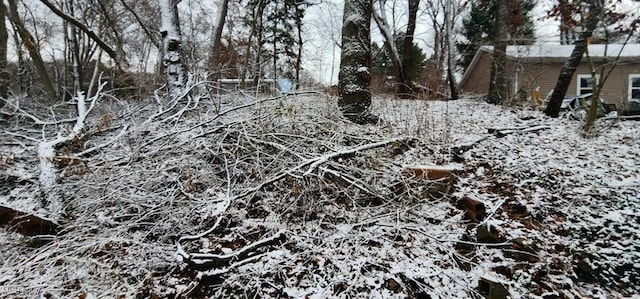 view of snowy landscape