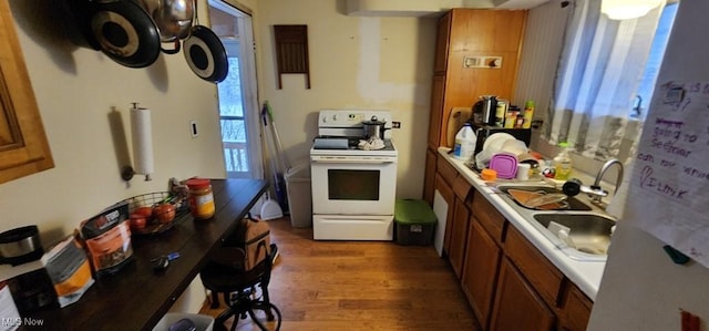 kitchen featuring dark hardwood / wood-style flooring, white range, and sink