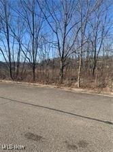 TBD Dipino Dr, Colliers WV, 26035 land for sale