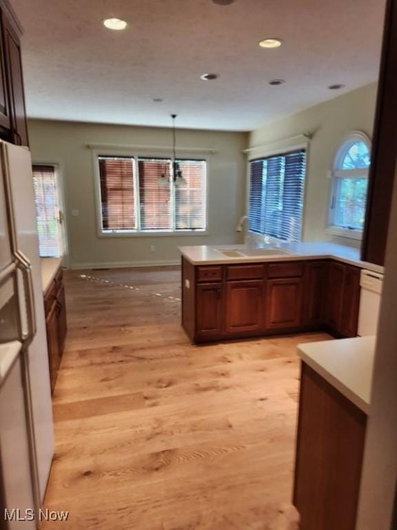 kitchen featuring light wood-type flooring, pendant lighting, white refrigerator, and sink