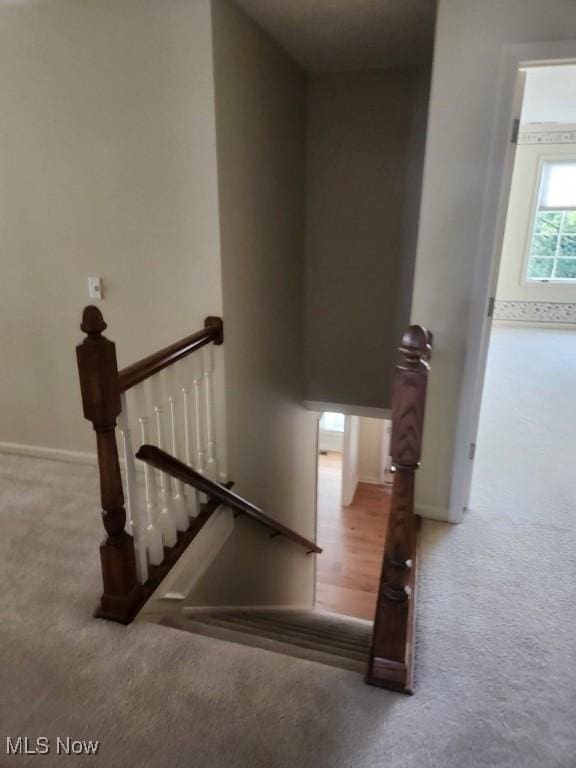 stairway with carpet