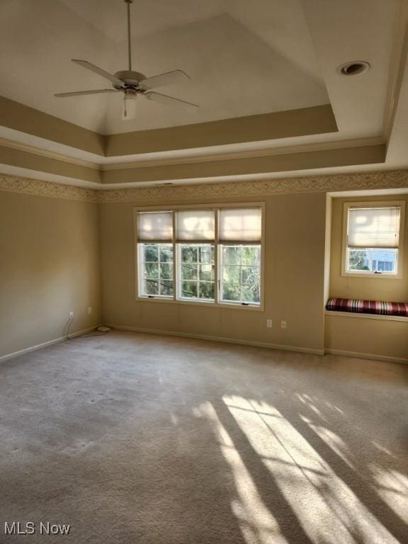 empty room featuring carpet flooring, a healthy amount of sunlight, and a tray ceiling