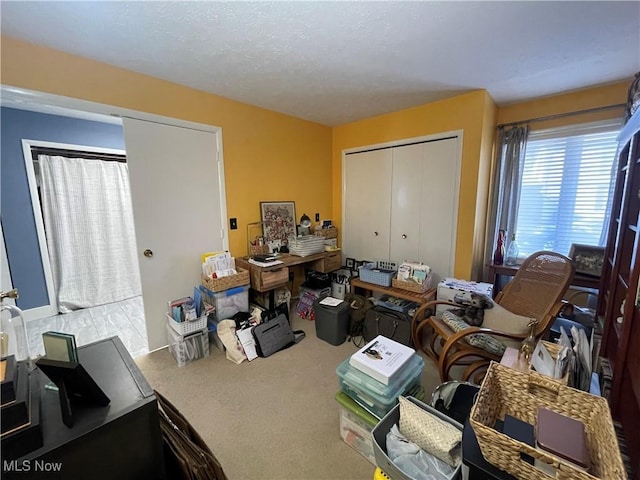 miscellaneous room featuring carpet floors