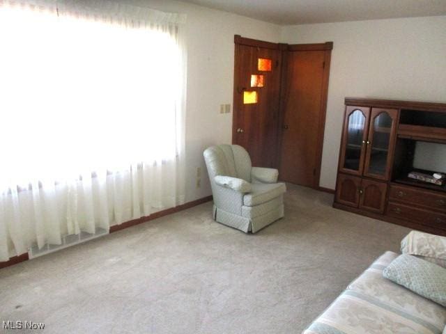 carpeted living room with plenty of natural light