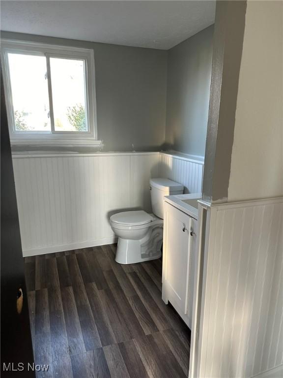 bathroom with vanity, wood-type flooring, and toilet