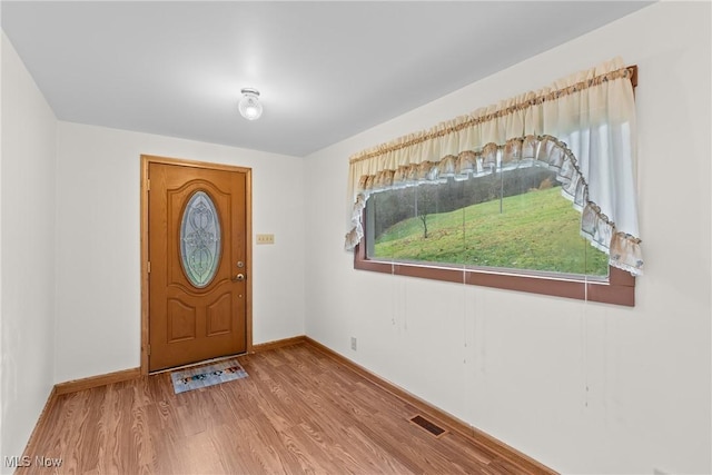 entrance foyer featuring hardwood / wood-style floors