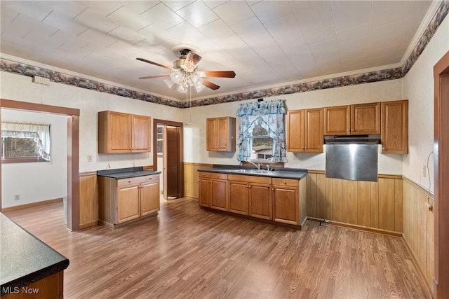 kitchen featuring ceiling fan, a healthy amount of sunlight, and wood-type flooring