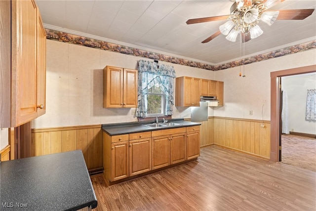 kitchen with sink, light hardwood / wood-style flooring, ceiling fan, and ornamental molding