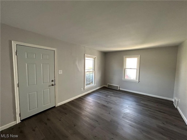 entrance foyer featuring dark wood-type flooring