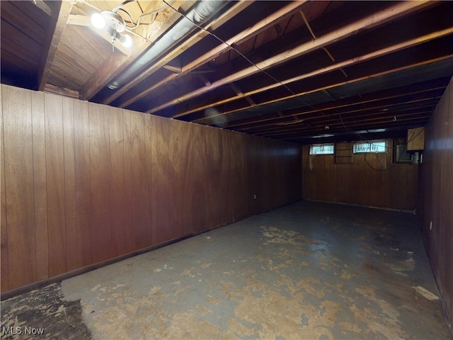 basement with wood walls