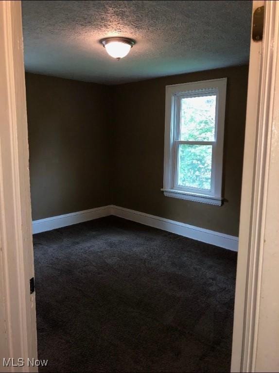 empty room featuring carpet and a textured ceiling