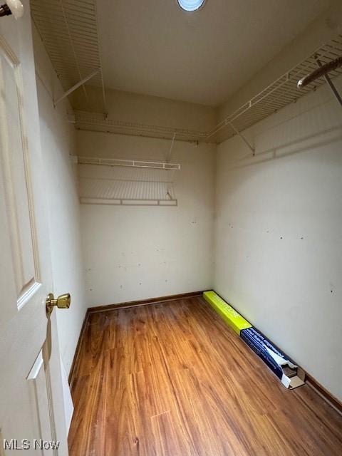 walk in closet with hardwood / wood-style flooring