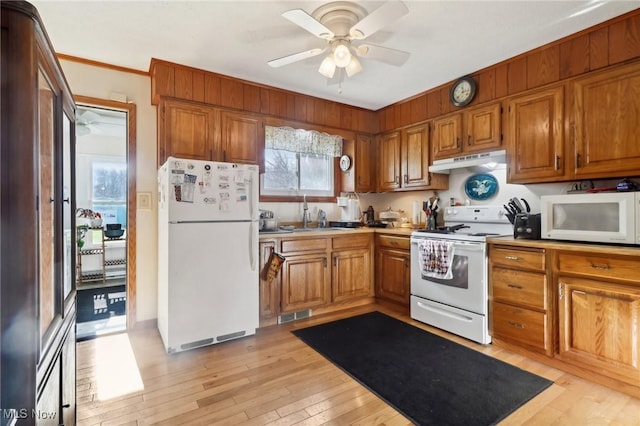 kitchen with ceiling fan, plenty of natural light, white appliances, and light hardwood / wood-style flooring