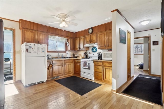 kitchen featuring ceiling fan, sink, light hardwood / wood-style flooring, white appliances, and ornamental molding